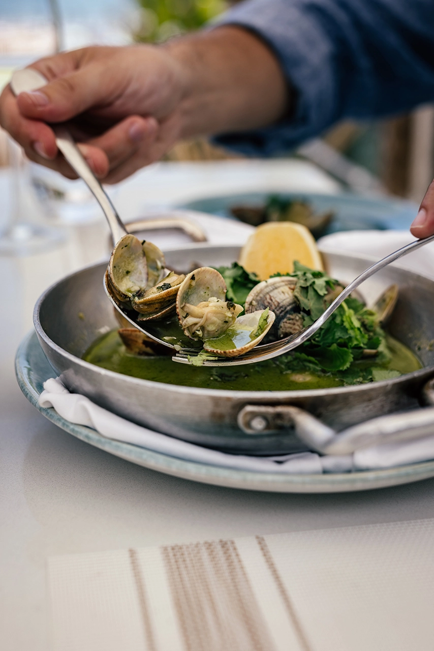 01-galeria-classico-beach-olivier